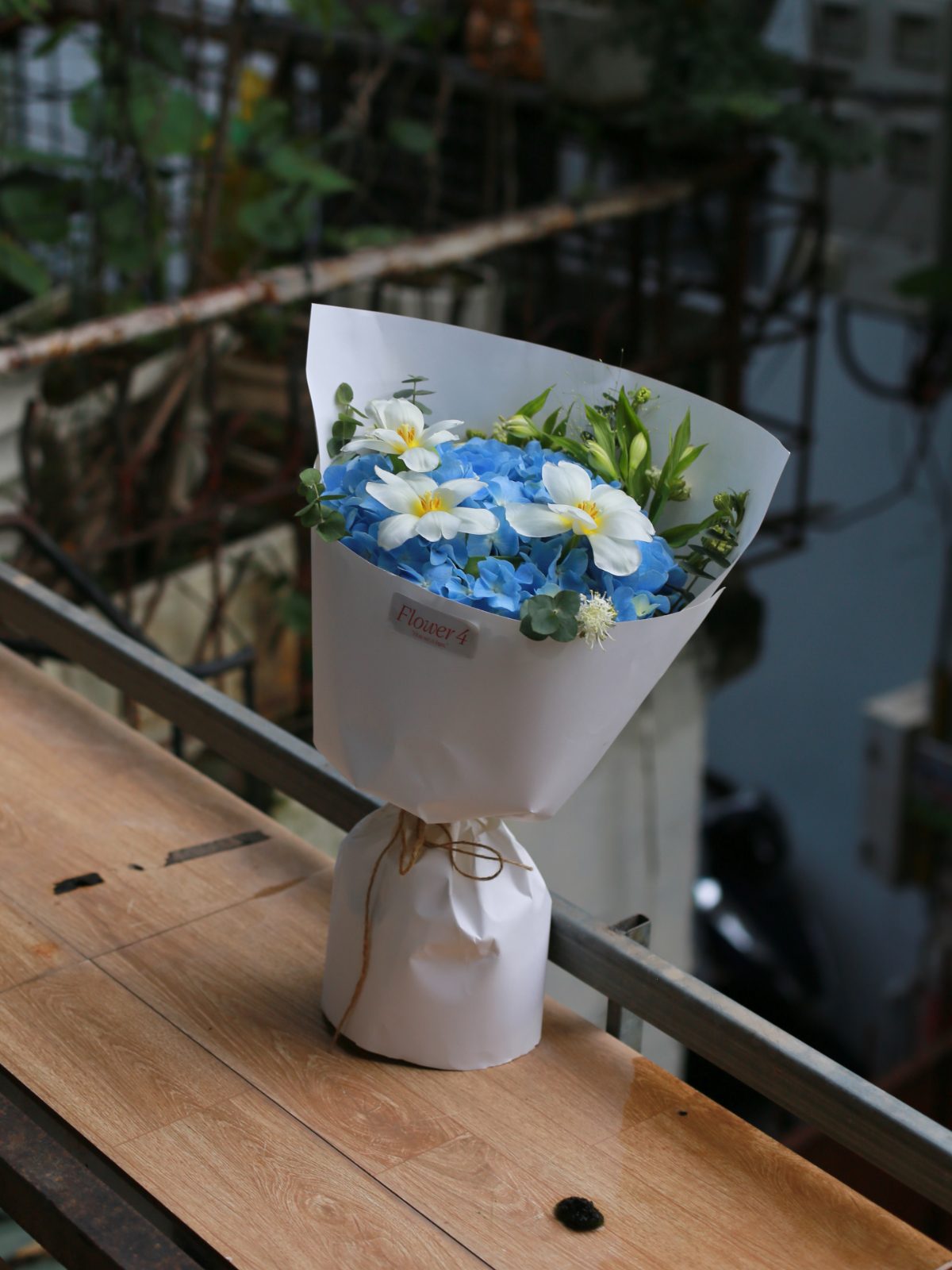 Bó hoa Tú Cầu Blue mix 3 bông Tulip Hà Lan