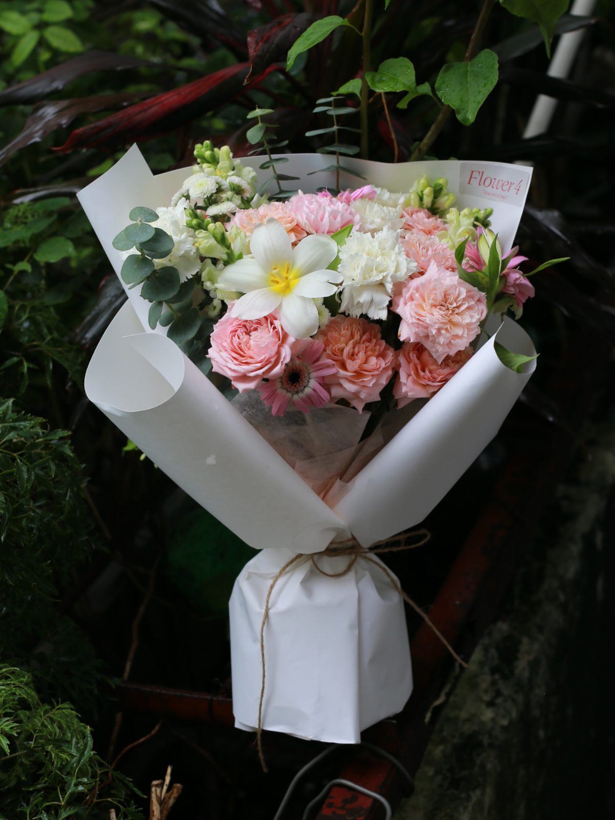 Bó mini hồng Julieta mix Tulip