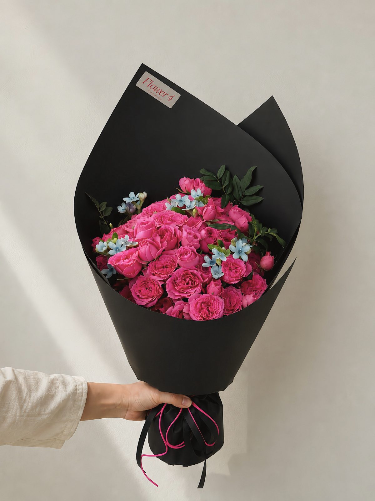Bó ốc quế Hồng chùm Sophia mix Sao Xanh